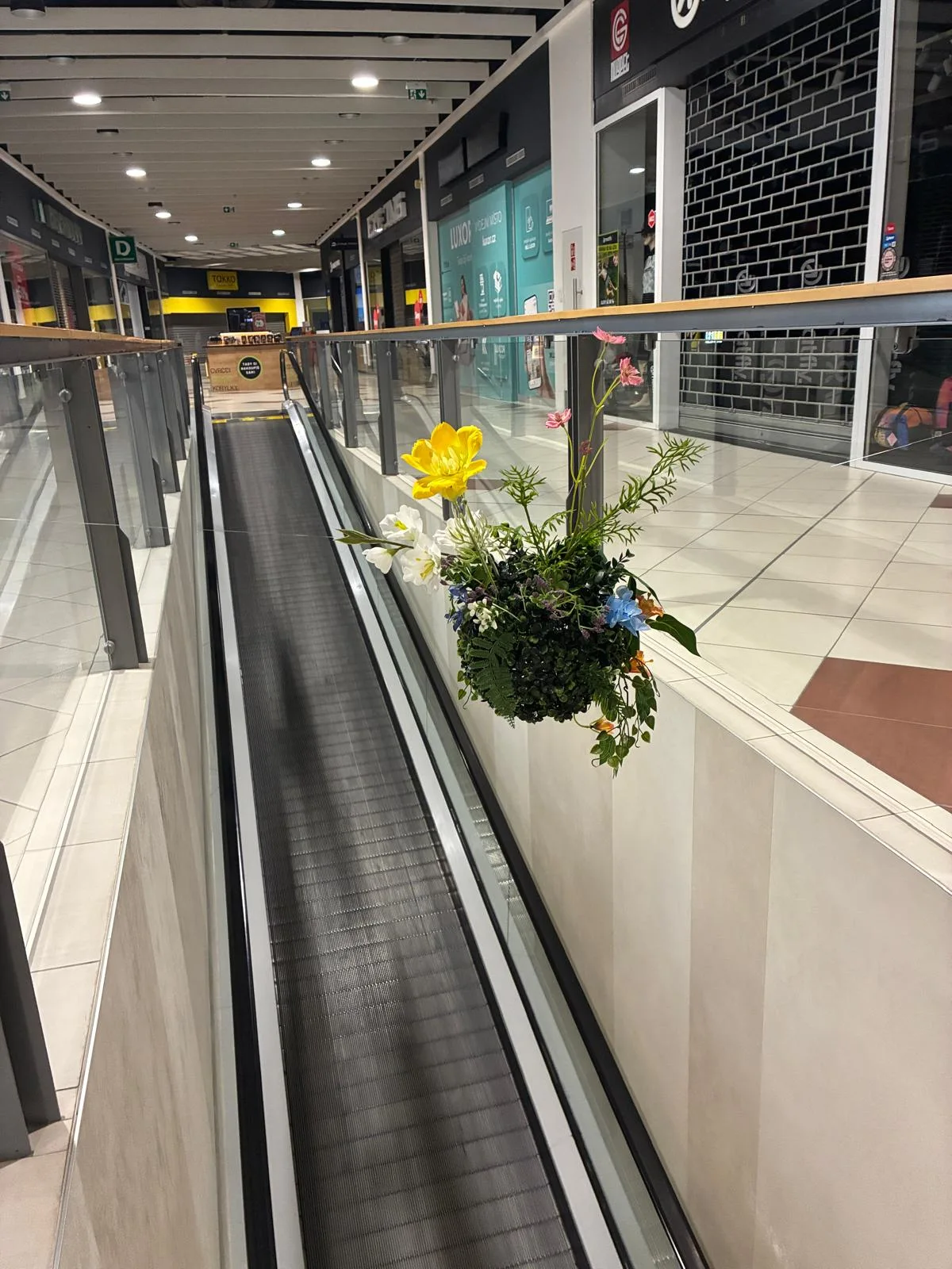 Instalace květinové dekorace pomocí žebříků v NC Královo Pole